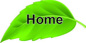 Back to Eufuho Homepage